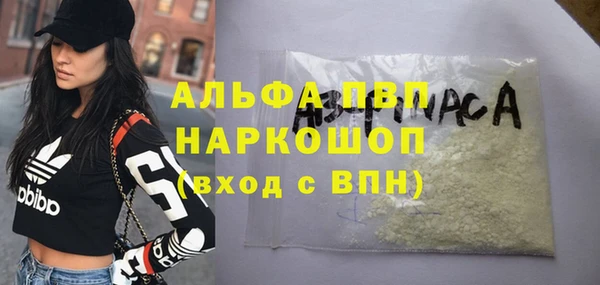гидра Бородино
