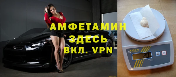гидра Бородино
