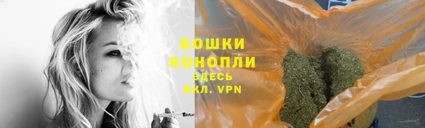 гидра Бородино