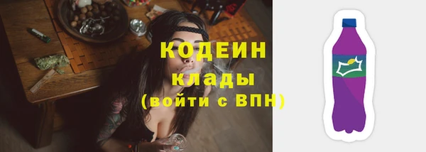 гидра Бородино