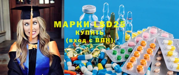 гидра Бородино