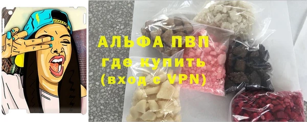 гидра Бородино