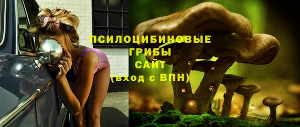 гидра Бородино