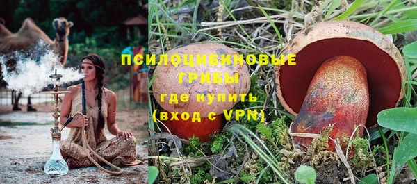 гидра Бородино