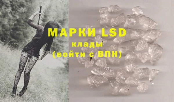 гидра Бородино