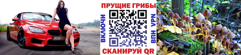 Галлюциногенные грибы мицелий  Ульяновск 
